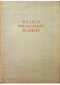 Dzieje polszczyzny śląskiej