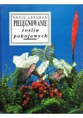Pielęgnowanie roślin pokojowych