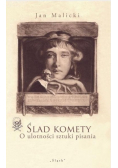 Ślad komety. O ulotności sztuki pisania