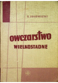 Owczarstwo Wielkostadne