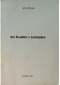 Na Śląsku i Zagłębiu