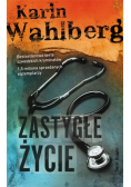 Zastygłe życie