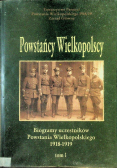 Dzieje opalenicy