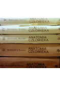 Anatomia człowieka Tom I do V