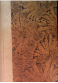 Podręcznik mineralogji, 1931 r.