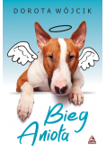 Bieg anioła