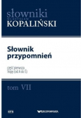 Słownik przypomnień Tom VII