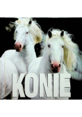 Konie