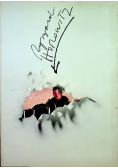 Ryszard Horowitz
