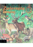 Zwierzęta lasów