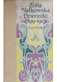 Dzienniki 1899 - 1905