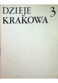 Dzieje Krakowa 3
