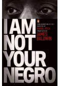 I Am Not Your Negro
