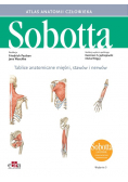 Tablice anatomiczne mięśni, stawów i nerwów. Łacińskie mianownictwo