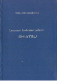 Leczenie końcami palców zdrowie żywotność shiatsu