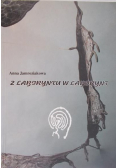 Z Labiryntu w Labirynt