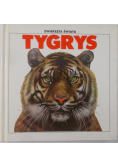 Tygrys