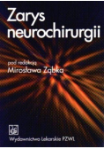 Zarys neurochirurgii