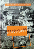 Przeplotnia