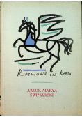 Rozmowa bez kresu