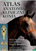 Atlas anatomii klinicznej konia
