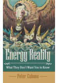 Energy Reality