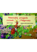 Niezwykła przygoda mrówki Małgorzaty Bajka ortograficzna
