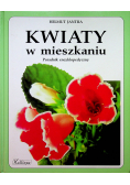 Kwiaty w mieszkaniu poradnik encyklopedyczny