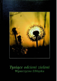 Tysiące odcieni zieleni  Wysoczyna Elbląska