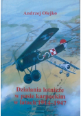 Działania lotnicze w pasie karpackim w latach 1914 - 1948