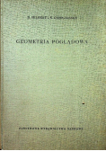 Geometria poglądowa