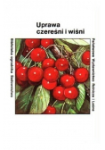 Uprawa czereśni i wiśni