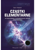 Cząstki elementarne w poszukiwaniu fundamentalnej natury rzeczywistości