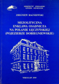 Mezolityczna enklawa osadnicza na Polanie Łęczyńskiej