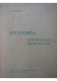 Anatomia zwierząt domowych