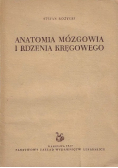 Anatomia mózgowia i rdzenia kręgowego