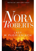 Lasy w płomieniach