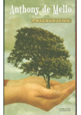 Przebudzenie