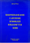 Rozpoznawanie i leczenie schorzeń kolkowych koni