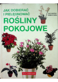 Jak dobierać i pielęgnować rośliny pokojowe