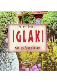 Iglaki w pigułce