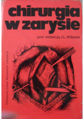 Chirurgia w zarysie
