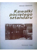 Kawałki pociętego sztandaru