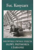 Niezwykłe zwykłe zdjęcia Oliwy Przymorz i Żabianki