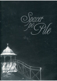 Spacer po pile