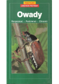 Owady rozpoznać podziwiać chronić