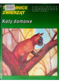 Tajemnice zwierząt Sekrety małych ssaków