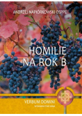 Homilie na rok B