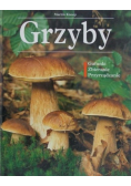 Grzyby Gatunki Zbieranie Przyrządzanie