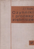Czynniki i procesy ziębnicze